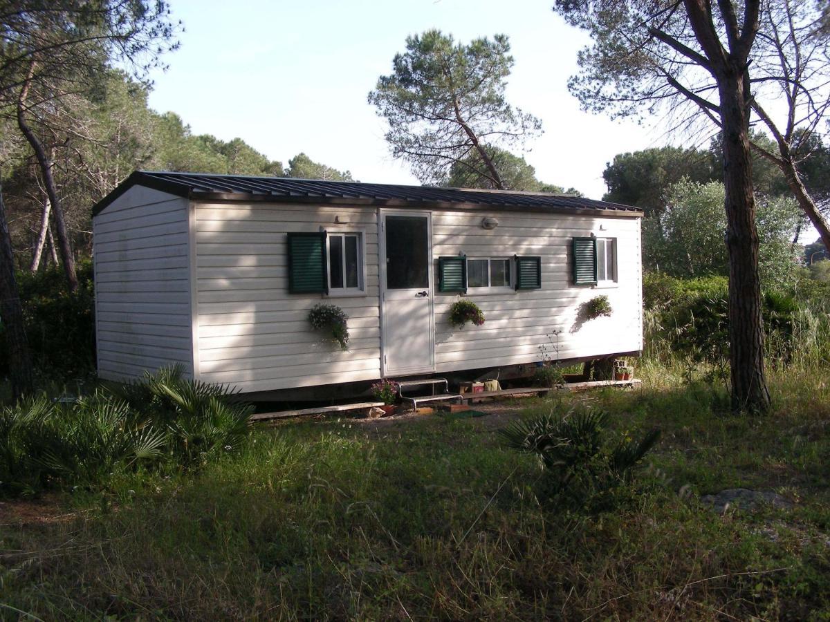 Villaggio Camping Nurral Fertilia Camera foto