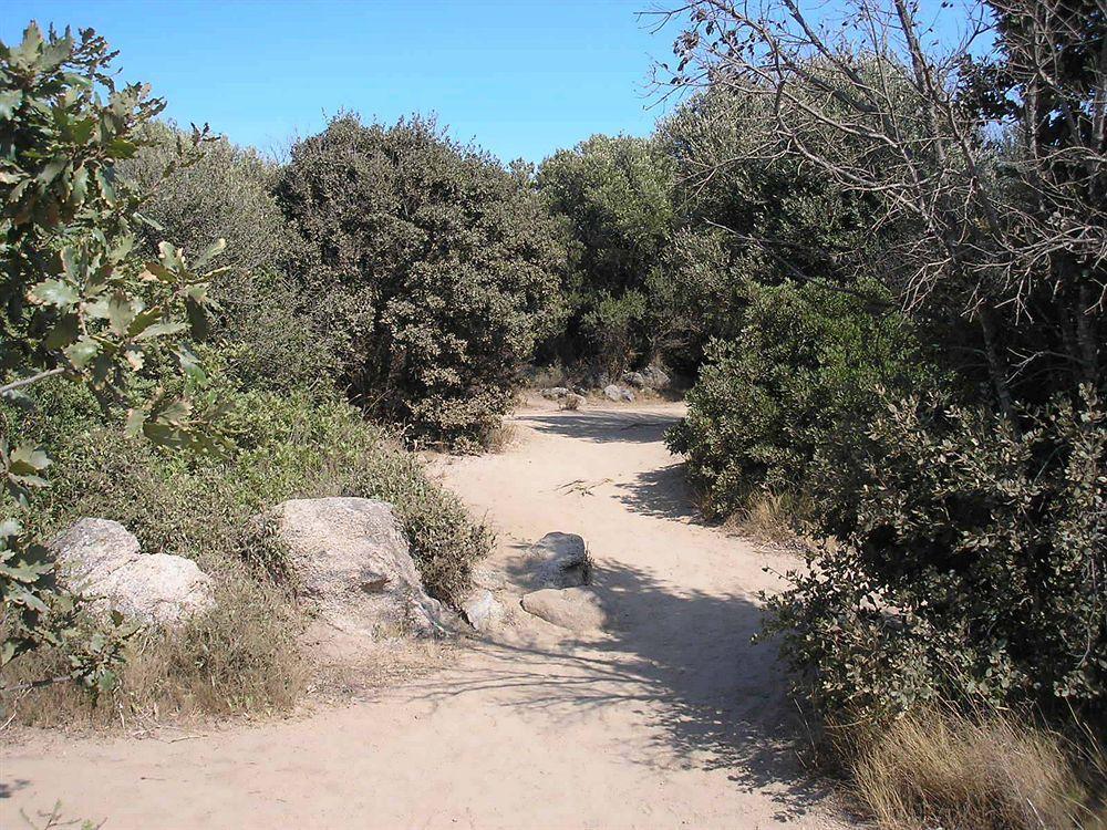 Villaggio Camping Nurral Fertilia Esterno foto