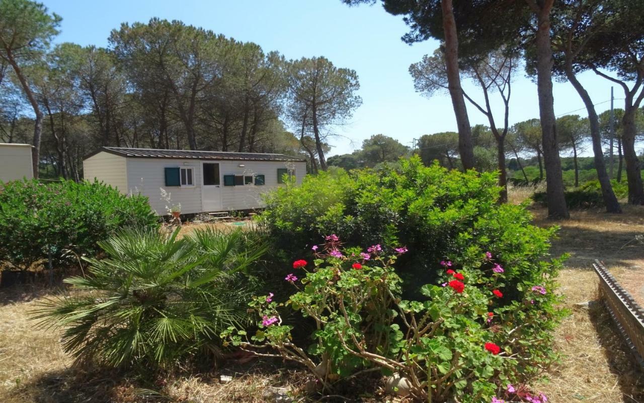 Villaggio Camping Nurral Fertilia Camera foto