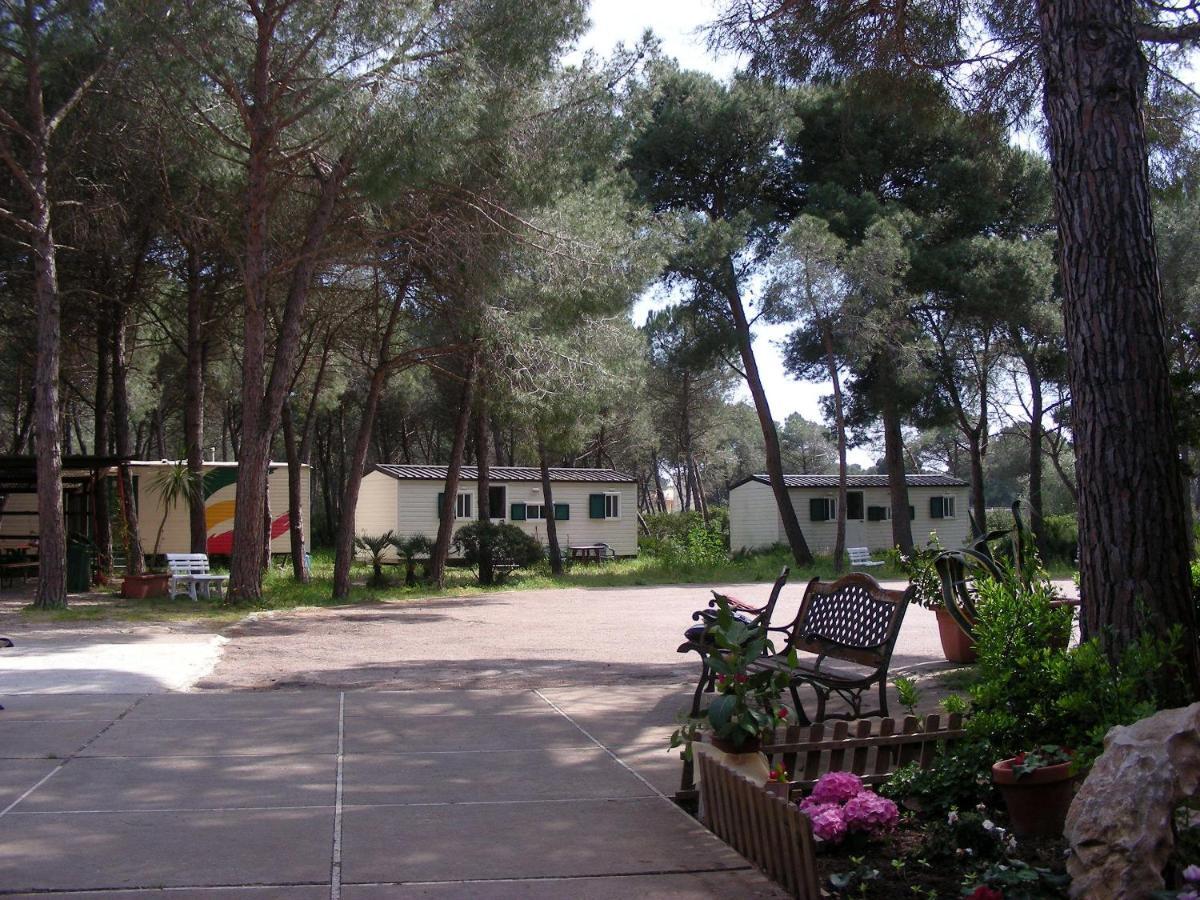 Villaggio Camping Nurral Fertilia Camera foto